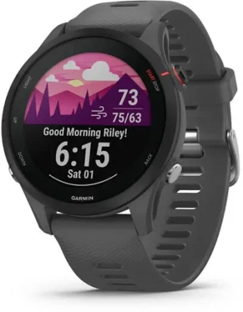 Watch Garmin Forerunner 255 basic Slate Gray 010-02641-10